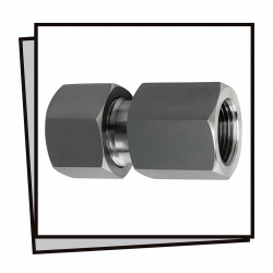 Giunzione femmina INOX (BSP...